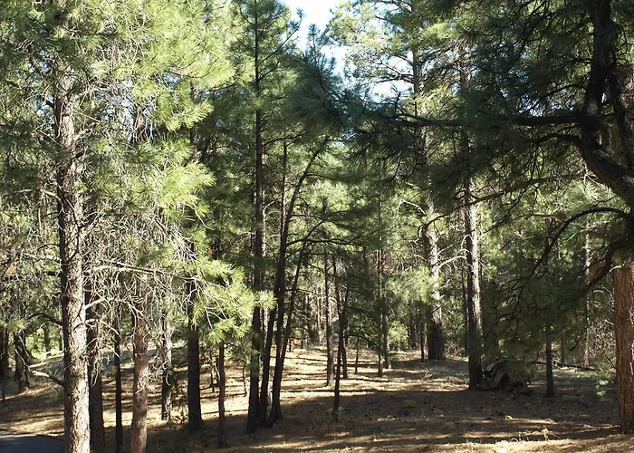 Whispering Pines Flagstaff